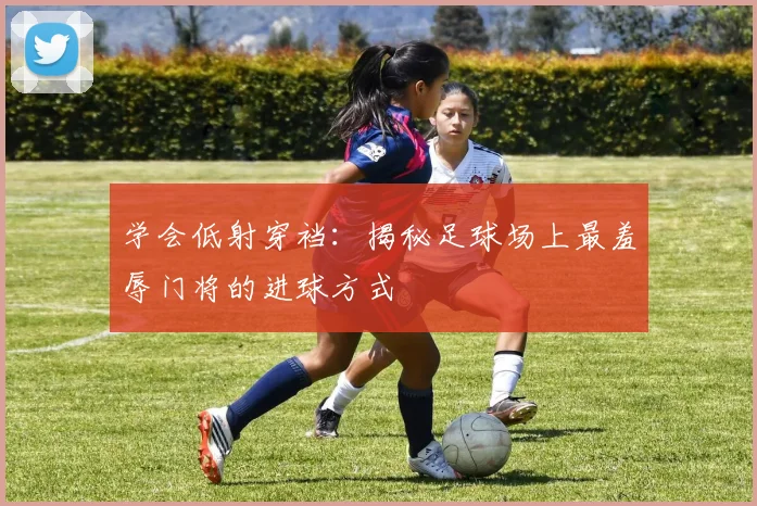 学会低射穿裆:揭秘足球场上最羞辱门将的进球方式